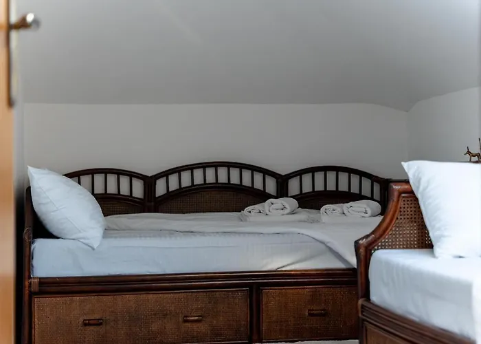 Odmor 24 * ズラティボール