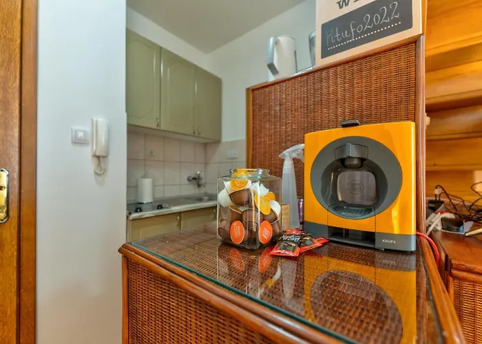 Odmor 24 * ズラティボール